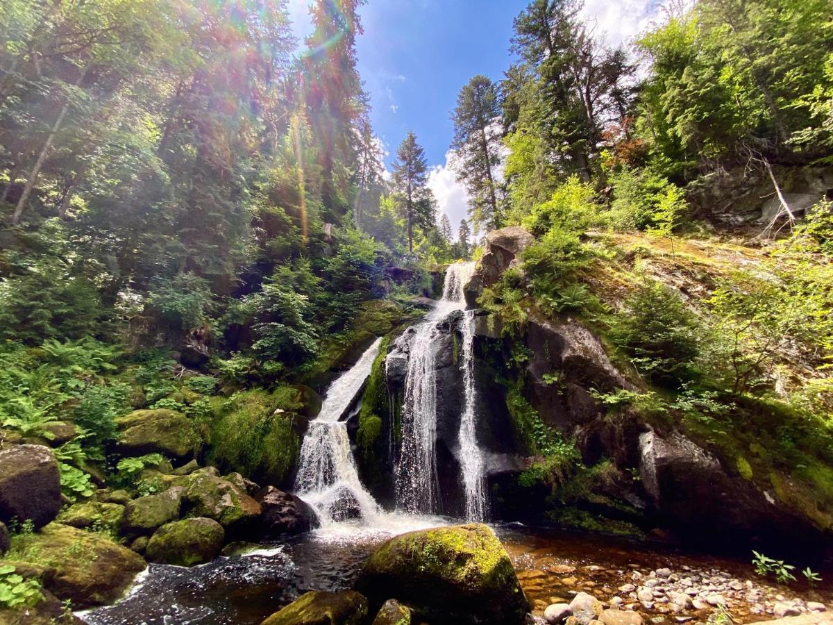 Ferienwohnung Zur Bierliebe - Mit Toller Aussicht Im Herzen Des Schwarzwaldes Hornberg Buitenkant foto